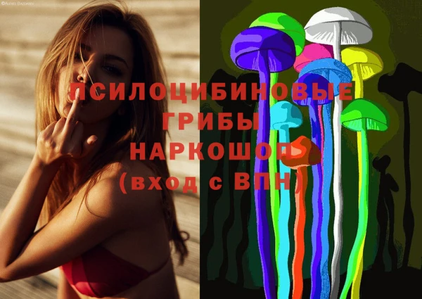 прущая мука Абаза