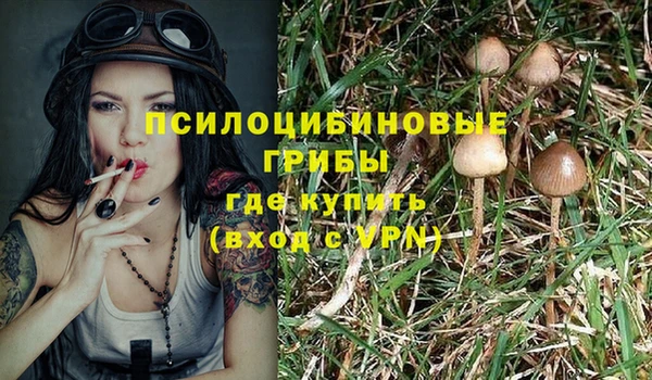 индика Ладушкин