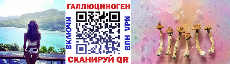 блэк спрут сайт  Ядрин  Галлюциногенные грибы Psilocybine cubensis 